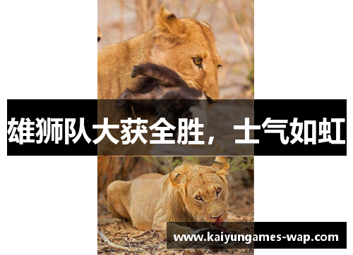 雄狮队大获全胜，士气如虹