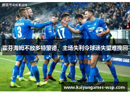 霍芬海姆不敌多特蒙德，主场失利令球迷失望难挽回