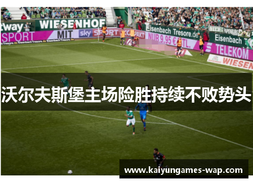 沃尔夫斯堡主场险胜持续不败势头