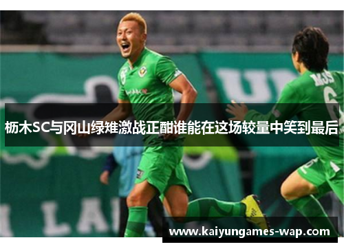 枥木SC与冈山绿雉激战正酣谁能在这场较量中笑到最后