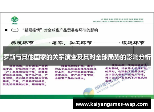 罗斯与其他国家的关系演变及其对全球局势的影响分析