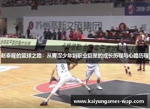 赵泰隆的篮球之路：从青涩少年到职业巨星的成长历程与心路历程